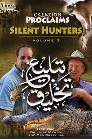 Creation Proclaims-Silent Hunters