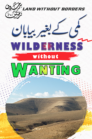 Wilderness Without Wanting